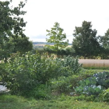 Appartamento Grosse Albferien *