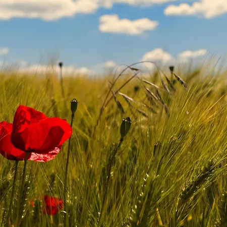 Appartamento Grosse Albferien