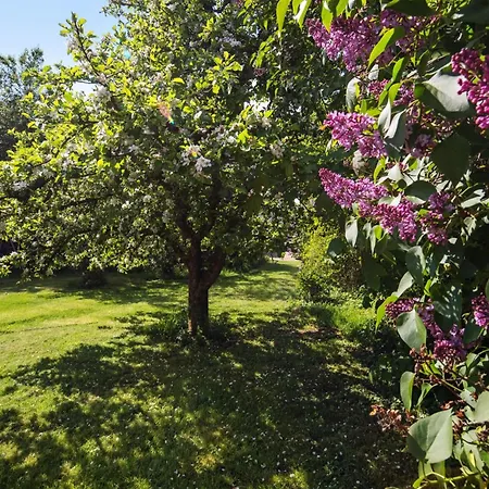 Grosse Albferien Appartamento