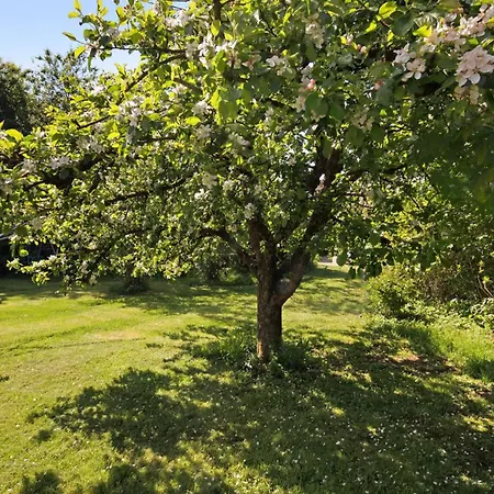 Grosse Albferien * Heroldstatt