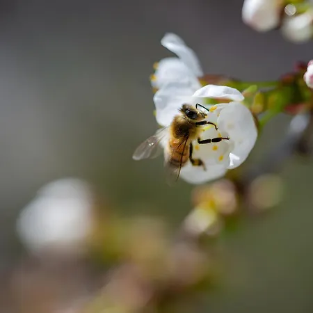 Grosse Albferien Heroldstatt