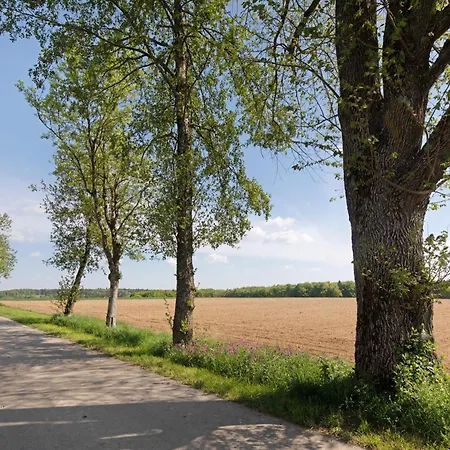 Apartman Grosse Albferien *